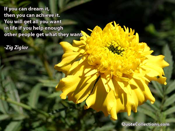Zig Ziglar Quotes7